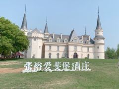 -北京张裕爱斐堡酒庄