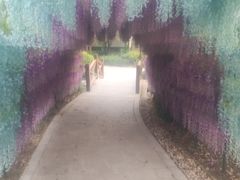 -郑州银基黄帝宫御温泉