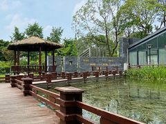 -成飞公园