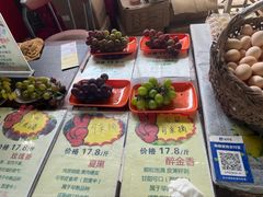 -马陆小张葡萄园农家乐