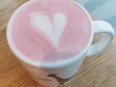 -ZOO COFFEE动物园咖啡(望京锐创店)