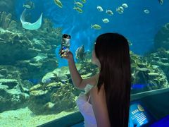 -海合安武汉极地海洋公园