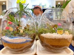 -光海书局(南京东路第一百货店)
