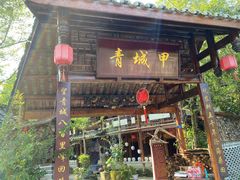 -青城甲(青城山店)