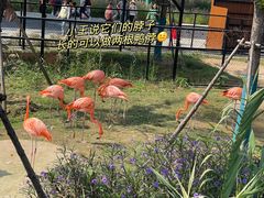 -武汉动物园