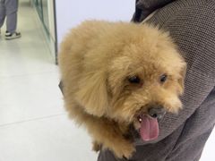-达爱动物医院·犬猫分区·CT·复杂眼科(远洋山水分院)
