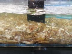-盒马鲜生(和谐广场店)