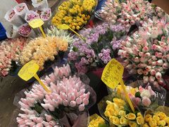 -循礼门鲜花花市(武汉循礼门店)