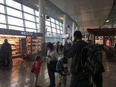 -谢列梅捷沃国际机场