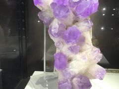 -中国地质大学逸夫博物馆