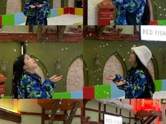 -世界之窗阿尔卑斯冰雪世界