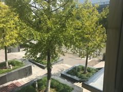景观位-紫玉轩精菜馆(东川路店)