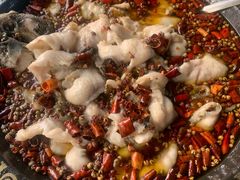 -金三可市井水煮鱼(金碧园店)