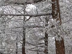 -崂山巨峰游览区