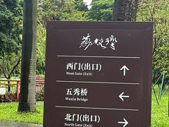 -荔湾湖公园