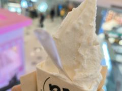 -野人先生Gelato(上海长宁龙之梦店)