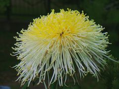 -北京植物园-展览温室