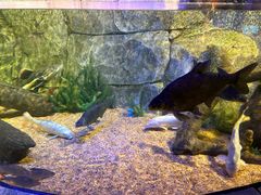 -沈阳海洋探索中心