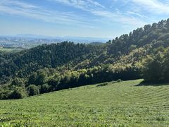 -敬亭山风景名胜区