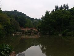 -云溪植物园