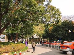 -复旦大学附属中山医院青浦分院
