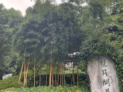 -十八棵（老龙井）御茶园(老龙井店)