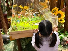 -黄海国家森林公园