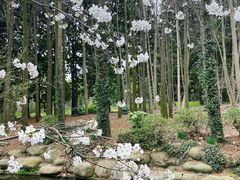 -上海共青森林公园