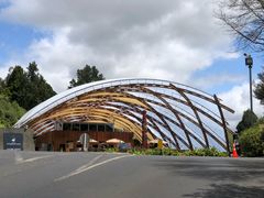 -怀托摩萤火虫洞