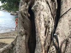 -班拉雅潜水度假村