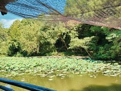 -兰亭风景区