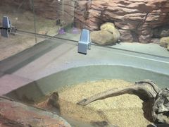 -正佳雨林生态植物园