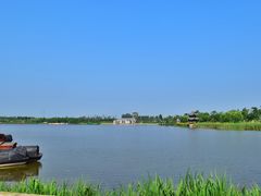 -杭州湾海上花田景区