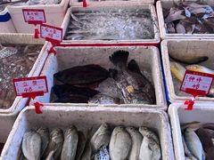 -胜海大排档·海鲜·黄鳝饭(十年老店)