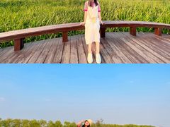 -永定河休闲森林公园