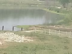 -洨河生态公园