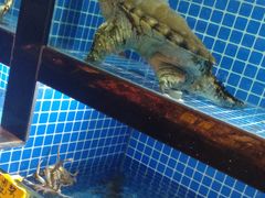 -徽三说·土徽菜·中国徽菜连锁品牌(一中店)