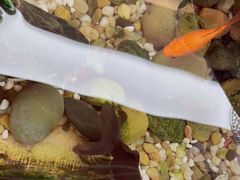 -茗唐中式茶会所(金钟路店)