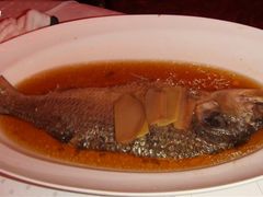 清蒸鲥鱼-上海小南国(正大店)