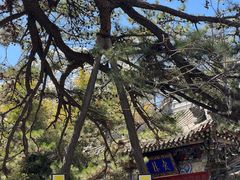 -潭柘寺景区