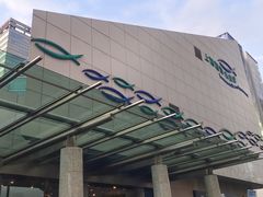 -上海海洋水族馆