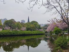 -成都南湖公园