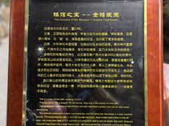 -游龙石文化科普馆