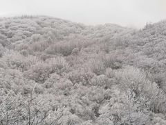 -秦岭风景区