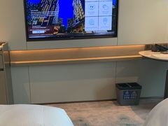 -深圳国际会展中心希尔顿酒店(前海华发冰雪世界店)