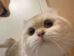 -瑞派康怡24h宠物医院·犬猫医疗中心·微创绝育(瑞景分院)