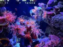 -成都浩海立方海洋公园