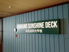 -歌诗达邮轮(宝杨路码头)