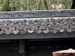 -柳莺湖上·湖景餐厅·江南菜(西湖店)