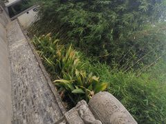 -程十发艺术馆